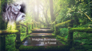 Imagine Business as a Forest